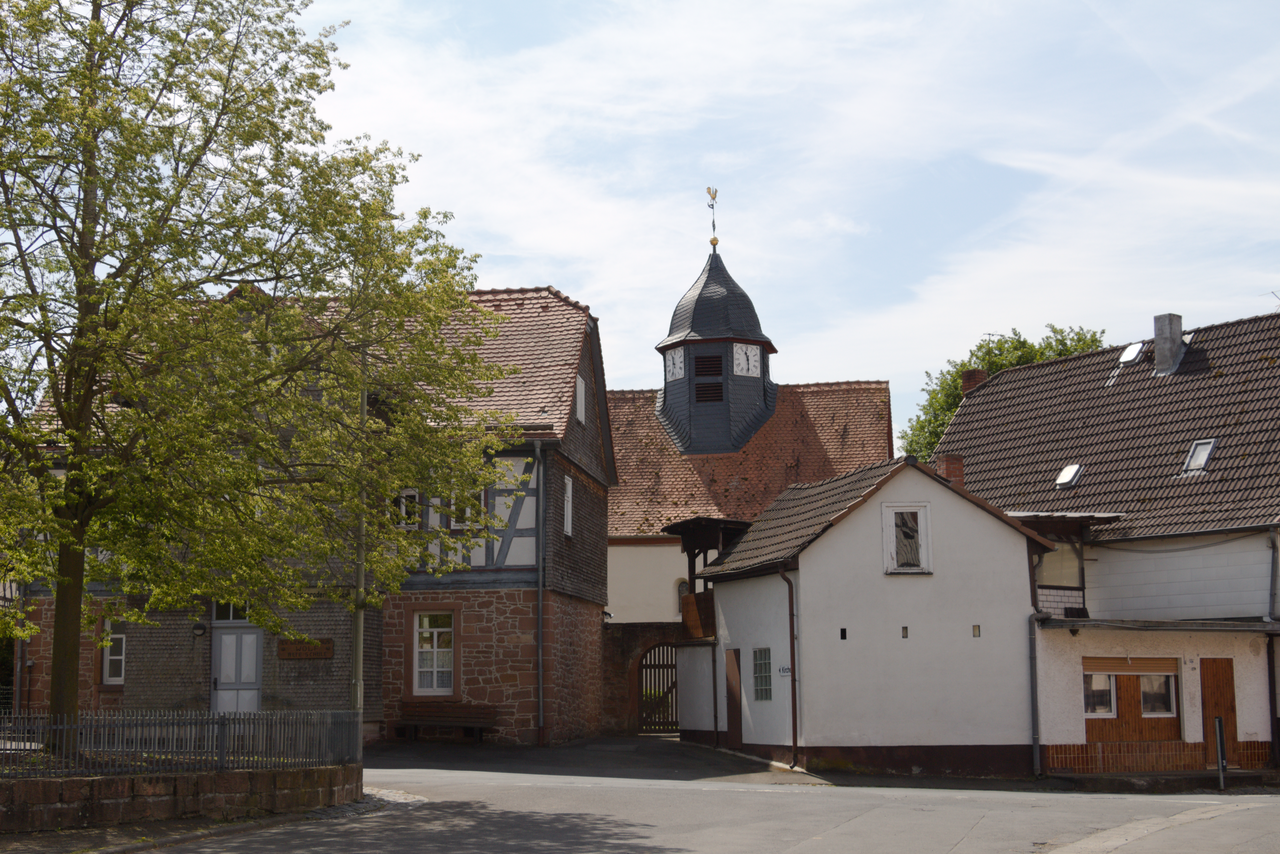 School of the Wolf